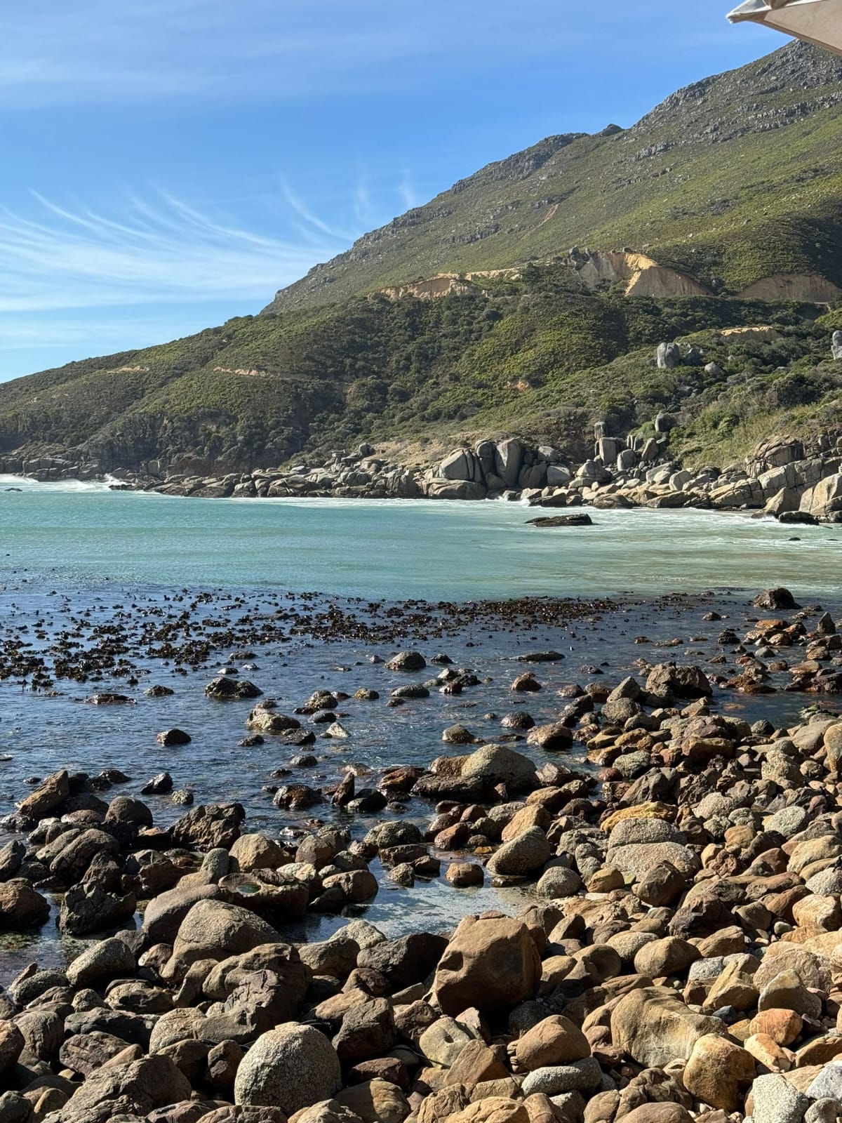 WhatsApp Image 2025-01-28 at 17.27.53_f1996fa9